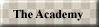 The Academy